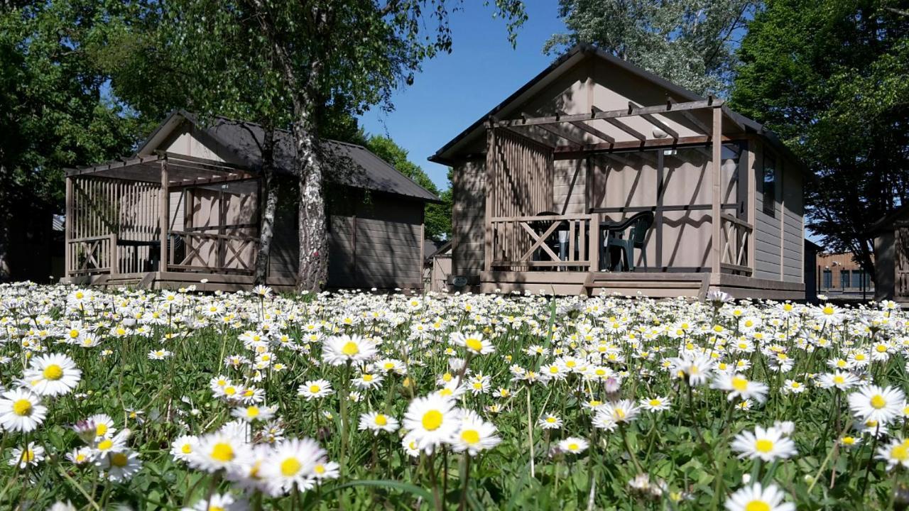 Camping Onlycamp Tours Val De Loire 셍 따베흑땅 외부 사진